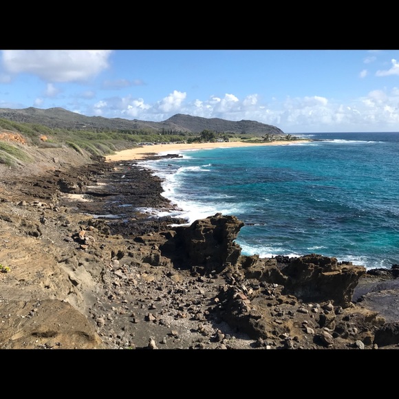 Meet your Posher, Teri - Picture 3 of 4